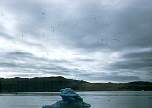 Iceberg6 9-55.jpg